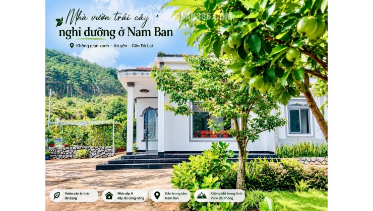Cần Bán Nhà Đất 987m² Có Sẵn Nhà Cấp 4, Giáp Đồi Thông, Giá 4,7 Tỷ